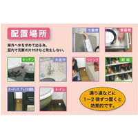 ゴキブリキャップP1 ゴキブリ専用 殺虫剤 1箱（15個） タニサケ