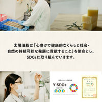 詰替用　ナチュロンハンドソープＮ　450mL　1個　太陽油脂　泡　無添加　天然由来100%　せっけん