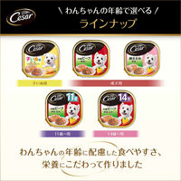 シーザー 吟選ビーフ 野菜入り 100g 4個 ドッグフード ウェット トレイ