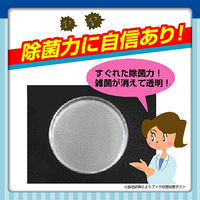 エステー 洗浄力（センジョウリキ） フロ釜クリーナー 1セット（2個）