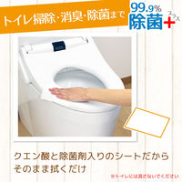 激落ちくん 除菌ができる クエン酸のウエットシート 1パック（20枚入） レック