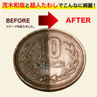 茂木和哉 の「超人たわしZ」 2枚入り レック (C00195)