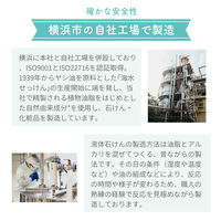 パックスナチュロン　リンスポンプ式Ｎ　500mL　1個　太陽油脂　せっけんシャンプー専用　トリートメント　無添加　天然由来100%