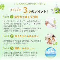 パックスナチュロン　ボディーソープ泡状ポンプ式Ｎ　５００ml 1個　敏感肌用　無添加　天然由来100%　せっけん　肌荒れ予防 【泡タイプ】