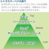 消臭力 プラグタイプ 消臭芳香剤 つけかえ シトラスバーベナの香り 20mL 1セット（3個） エステー