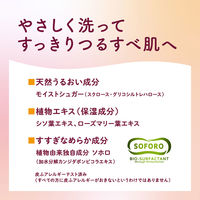 arau.（アラウ） 泡ボディソープ ポンプ 480ml 1個 サラヤ【泡タイプ】