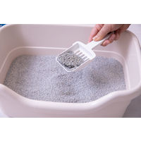 猫砂 オードロック 無香料 超高品質なネコ砂 8秒で固まる 消臭効果約40日 6kg 3袋