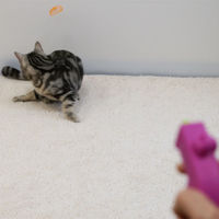 キャティーマン じゃれ猫 にゃんコプター 3個 ドギーマンハヤシ 猫用 おもちゃ