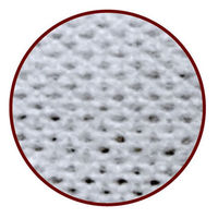 クイック＆リッチ トリートメントインシャンプータオル 愛猫用 20枚入 3個　ライオンペット