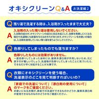 オキシクリーンEX 詰め替え 2000g  粉末 酸素系漂白剤 1個 大容量 消臭 漂白 洗濯 掃除