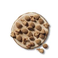 ピュリナワン グレインフリー チキン 1.6kg（小分け400g×4袋）3袋 キャットフード ドライ