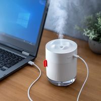 サンワサプライ USB加湿器(LEDライト付き) ホワイト色 USB-TOY100W 1個（直送品）
