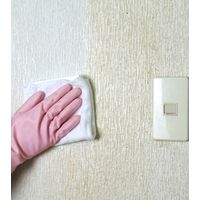 Tipo’s アビリティークリーン 詰め替え 1個 400ml 友和