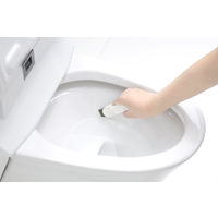 掃除の達人 すみずみ消しゴム ケース付き 水垢 水アカ 黒ズミ サビ そうじ 1個 マーナ