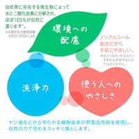 フロッシュ ギフト セット 食器用洗剤 アロエヴェラ＆ブラッドオレンジ（各100ml） リーフスポンジ付き 旭化成ホームプロダクツ