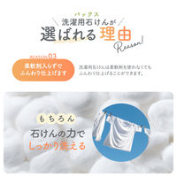 詰替用パックス　洗濯用石けんドラム　1L　1個　太陽油脂　無添加　ドラム式　ラベンダーの香り　天然由来100%　洗濯洗剤