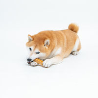 大地からの贈り物 ドッグフード ヤクミルクチーズスティック M 2本入 3袋