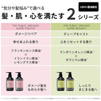 ザ パブリック オーガニック スーパーバウンシー DM シャンプー 詰め替え 400ml カラーズ