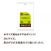 ニオワイナ ゴミ袋 消臭袋 20L 1セット（10枚入×3パック） 日本サニパック