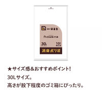 ニオワイナ ゴミ袋 消臭袋 30L 1パック（10枚入） 日本サニパック