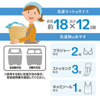 apex ドーム型ブラジャーネット 2個