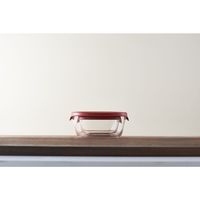 HARIO（ハリオ） 耐熱ガラス製保存容器 1セット（250ml×2個、600ml×1個） レッド