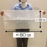 フィルたん ウイルス・細菌対策 パッと貼るだけ ホコリとりフィルター エアコン・空気清浄機用 1セット（1枚×2）東洋アルミエコープロダクツ