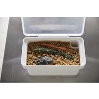 tower（タワー） 密閉ぬか漬けケース 水取り器付 ホワイト 1個 山崎実業