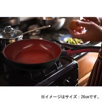 フライパン IH対応・ガス火対応 20cm 温度がわかる デリシャスサインシリーズ ベストコ