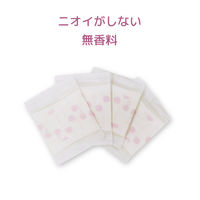 【生理用品】 おりもの専用シート ナチュラムーン 無香料 1個（40枚） G-Place