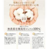 【生理用品】 ナプキン 夜用 羽なし 32cm オーガニックコットンナプキン  ノンポリマー 1セット（6枚×3個） コットン・ラボ