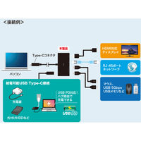 サンワサプライ  USB Type-Cドッキングステーション USB-DKM10BK（直送品）