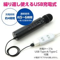 アーテック 拡声器付きマイク 52313 1本