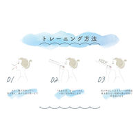 ルピナス 長息生活(レベルMAX)健康 美容 トレーニング リハビリ 口呼吸防止 T11074 1箱(1本入)（直送品）