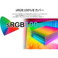 JAPANNEXT 29インチ ウルトラワイド液晶モニター　TypeーC給電 JNーIPS291WFHDRーC65W 1台