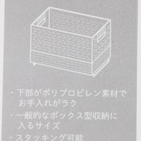 ヒヤシンスポリプロピレン収納 L HOUSEHOLD GOODS ナチュラル studio CLIP