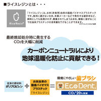 歯科医推奨 エコデント ライスレジン歯ブラシ ふつう 大人・子供向け 6色アソート 1セット（12本入）ラピス 限定（わけあり品）