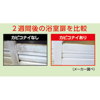 カビコナイ 1箱（6個入） タジマヤ