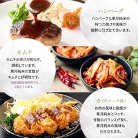 月桂冠 果月 純米 720ml 1本 日本酒 フルーティー