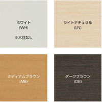 大洋 Shelfit オープス デスクユニット 幅750×奥行448×高さ1785mm ホワイト 1台（直送品）