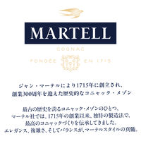 マーテル VS 40度 700ml 1本 ブランデー コニャック 正規品 ペルノリカール