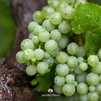 オーストラリア ジェイコブスクリーク シャルドネ 白ワイン 辛口 750ml 1本 ペルノリカール