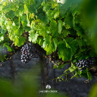オーストラリア ジェイコブスクリーク シラーズ カベルネ 赤ワイン ミディアムボディ 750ml 1本 ペルノリカール