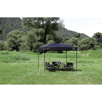 パール金属 CSブラックラベル クイックアップシェート ゙250UV UA-1094 1個（直送品）