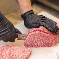 【使いきりニトリル手袋】川西工業 #2074アイアングリップアドバンス LL 2074LL 1セット（50枚×5箱）