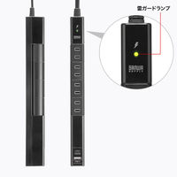 サンワサプライ  回転タップ（AC4個口＋Type-C＋USB-A・PD20W・ブラック） TAP-B113UC-2BK（直送品）