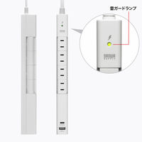 サンワサプライ  回転タップ（AC4個口＋Type-C＋USB-A・PD20W・ホワイト） TAP-B113UC-2W（直送品）