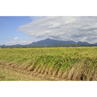 【手土産やお祝いの贈り物に】 新潟県産 コシヒカリ・至福の一杯 贅沢 お吸い物 ギフトセット D ギフトカード　スタンダード封筒（直送品）