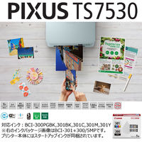 キヤノン インクジェット複合機 TS7530 BLUE PIXUSTS7530BL 1台