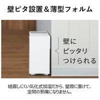 パナソニック（Panasonic） 加湿器（気化式） FE-KFU05-W 1台